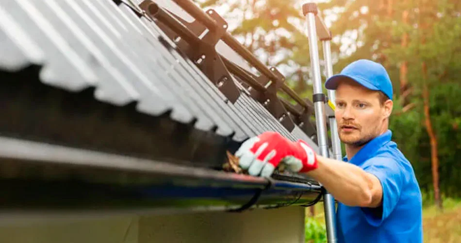 Conclusão - Combate Ambiental Conclusão - Combate Ambiental