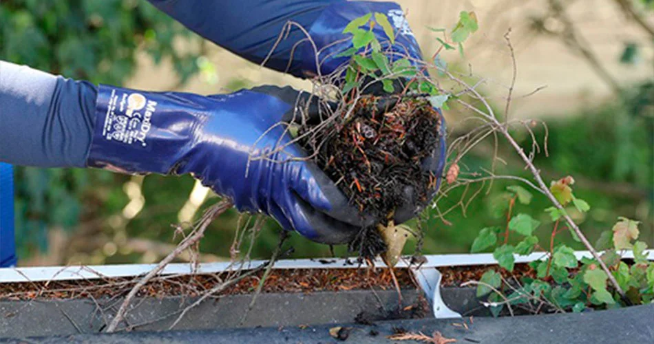 Legislação Sobre Limpeza de Calhas e Rufos em Santos - Combate Ambiental Legislação Sobre Limpeza de Calhas e Rufos em Santos - Combate Ambiental