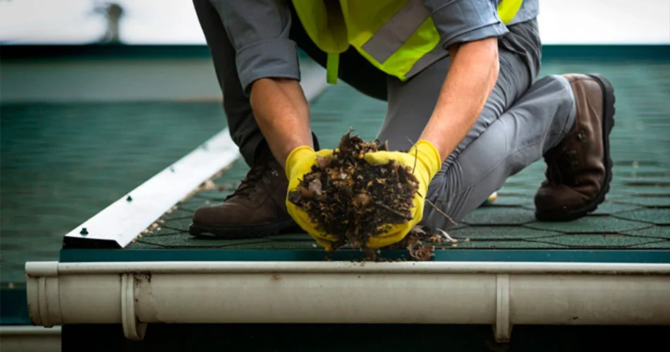 Perguntas Frequentes (FAQ) - Combate Ambiental Perguntas Frequentes (FAQ) - Combate Ambiental