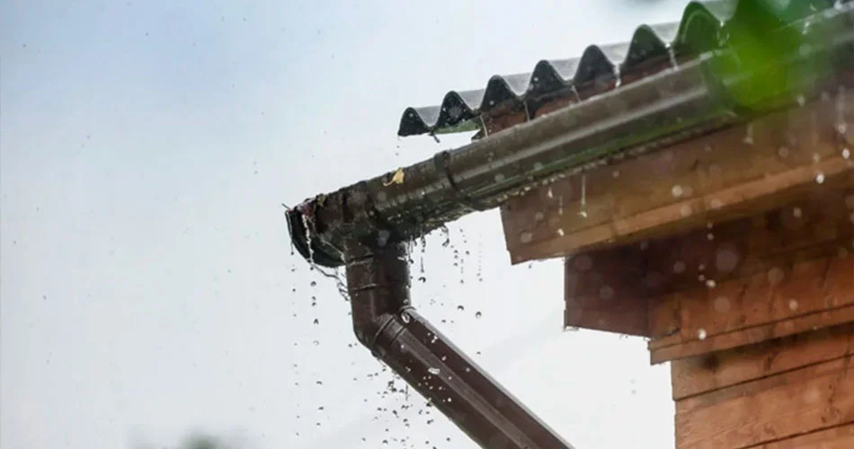 Conclusão - Combate Ambiental Conclusão - Combate Ambiental