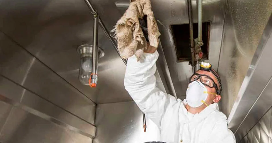 Conclusão - Combate Ambiental Conclusão - Combate Ambiental