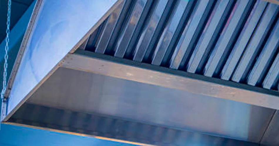 Conclusão - Combate Ambiental Conclusão - Combate Ambiental